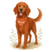 Pets Personalised Organic Tote Bag - Red Setter - Printed Bag
