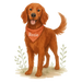 Pets Personalised Organic Tote Bag - Red Setter - Printed Bag