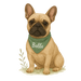 Pets Personalised Relaxed Fit Organic Tee Shirt - French Bull Dog