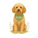 Pets Personalised Relaxed Fit Organic Tee Shirt - Golden Retriever