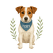 Pets Personalised Relaxed Fit Organic Tee Shirt - Jack Russell