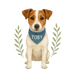 Pets Personalised Relaxed Fit Organic Tee Shirt - Jack Russell