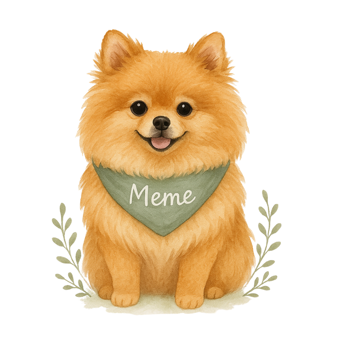 Pets Personalised Relaxed Fit Organic Tee Shirt - Pomeranian