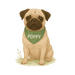 Pets Personalised Relaxed Fit Organic Tee Shirt - Pug