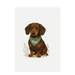 Custom Dog Art Print – Personalised - Dachsund