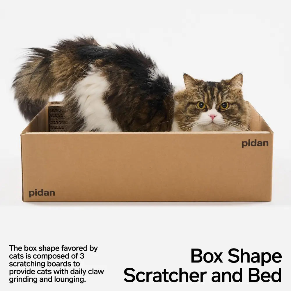 pidan Box Cat Scratcher - Scratching pad