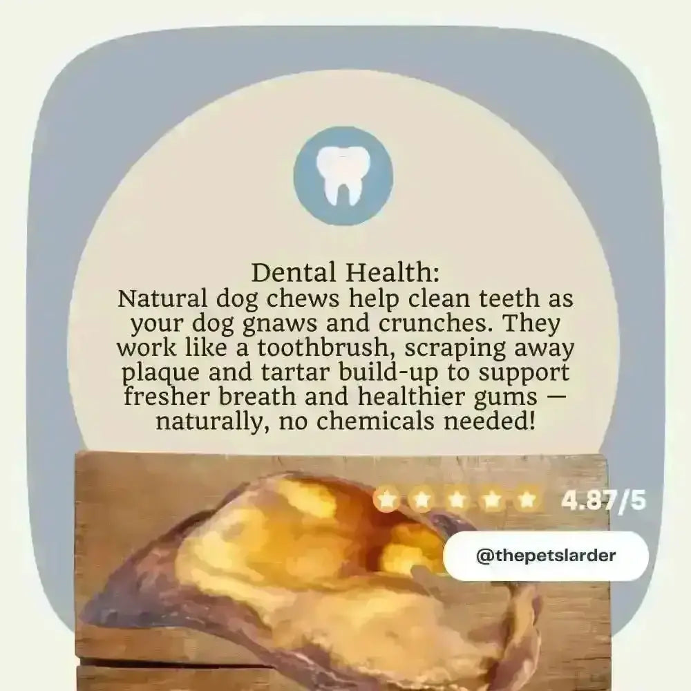 Natural pig ear dog chew in 1kg bag for dental health
