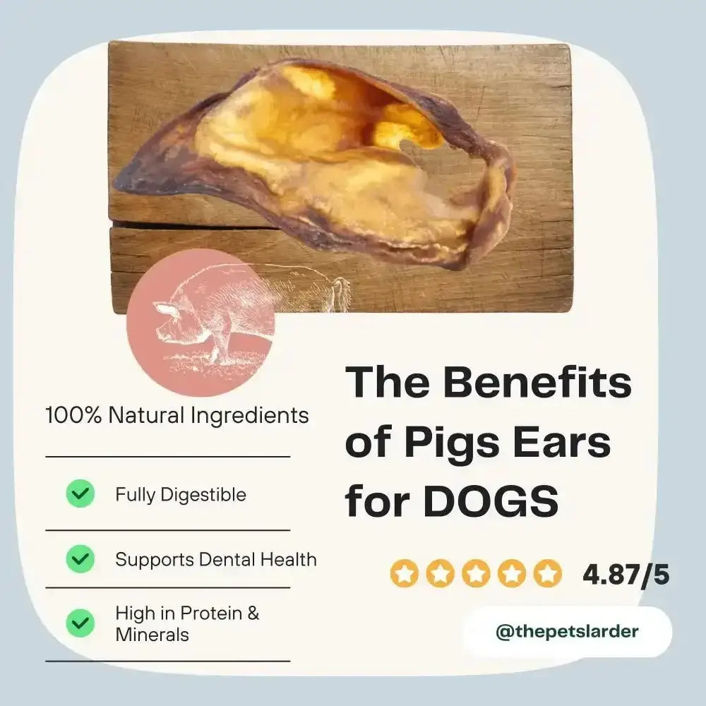 Pig ears natural dog chew from Pets Larder, 4.87/5 rated