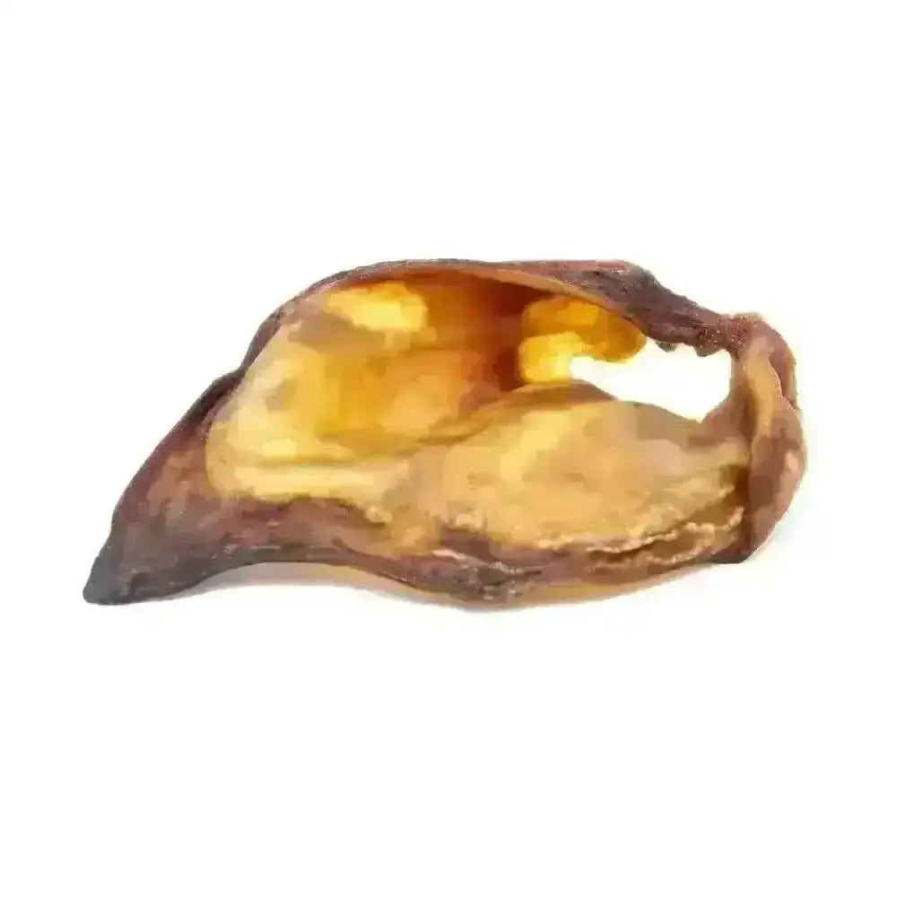 Pig Ear Natural Meat Chew from Pets Larder for Dogs