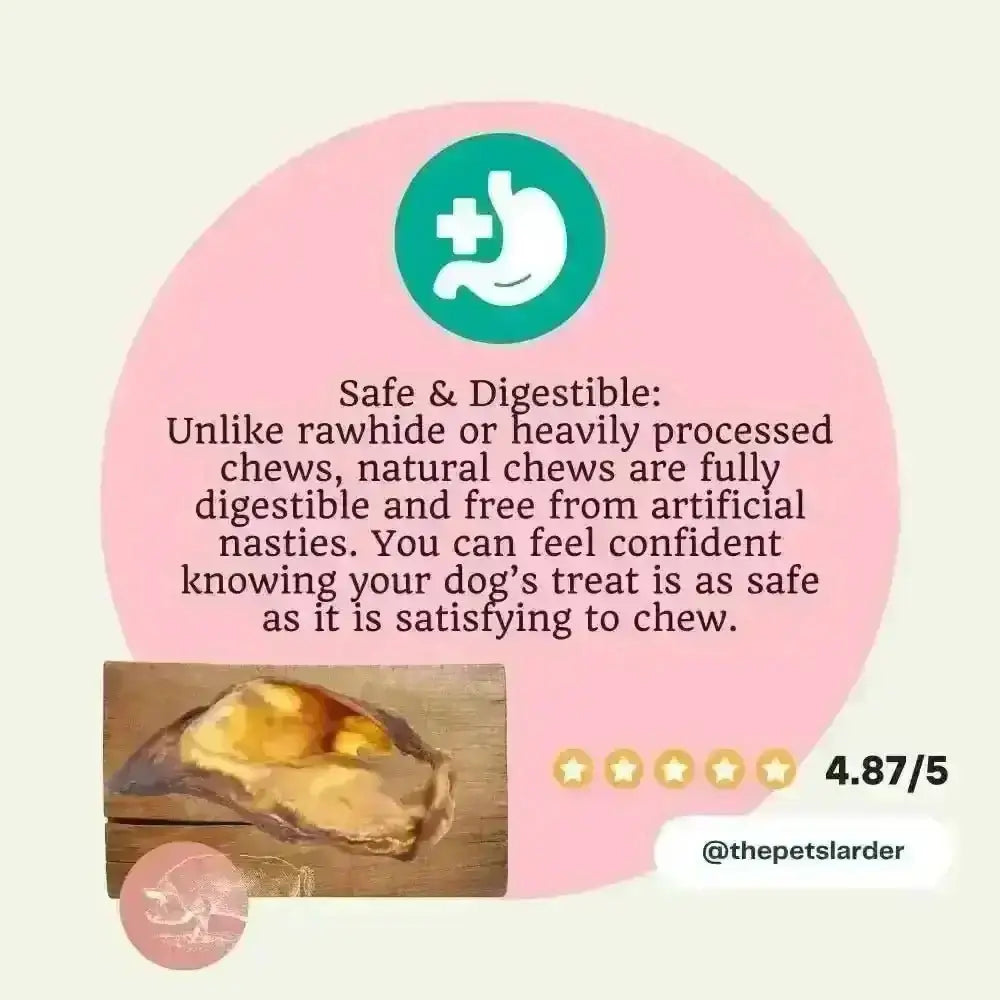 Pig Ear Natural Dog Chew from Pets Larder, golden rawhide-like treat