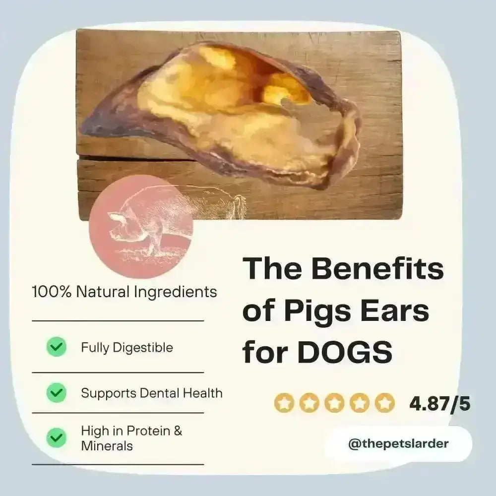 Pig ears natural dog chew from Pets Larder, 4.87/5 rated