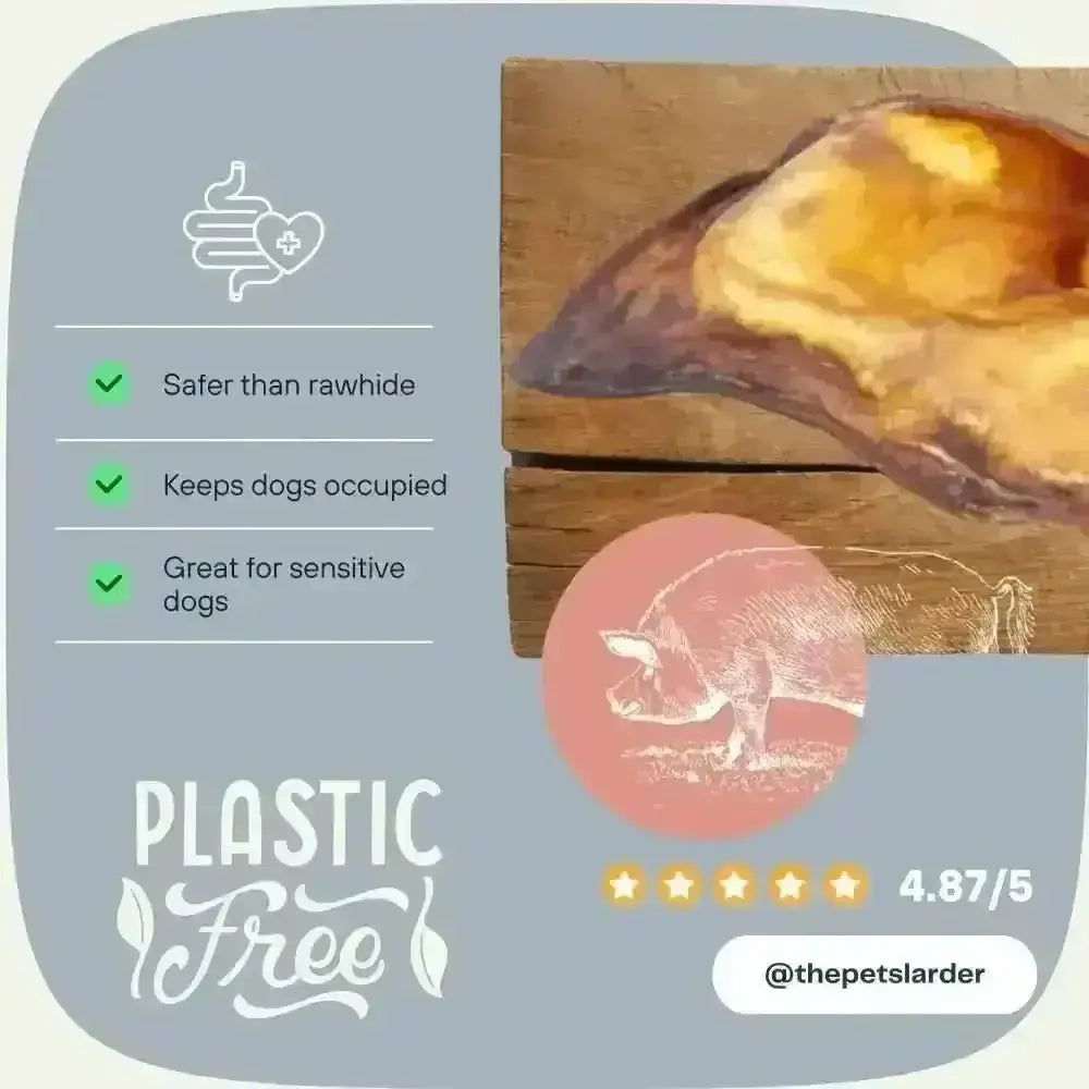 Pig Ear Natural Meat Chew Toy from Pets Larder for Dogs