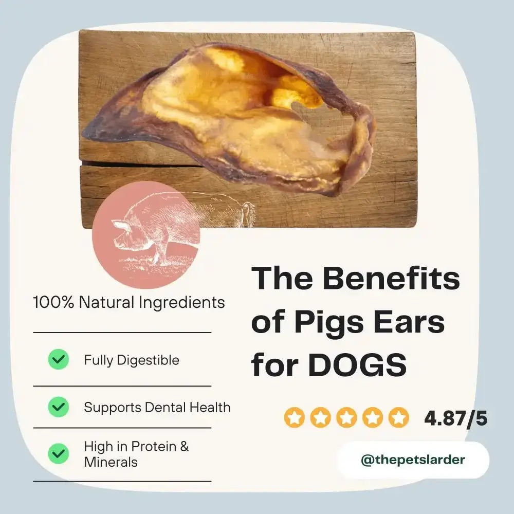 Pig ears natural dog chew from Pets Larder, 4.87/5 rated
