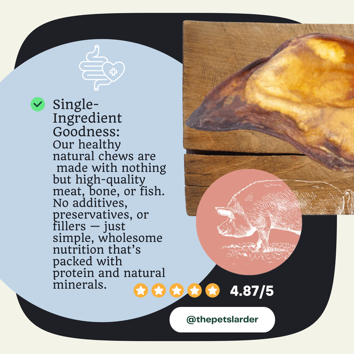 Pig Ear Natural Meat Chew For Dogs - Natural Dog Chew