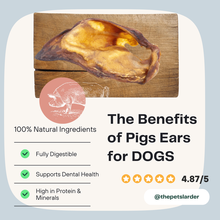 Pig Ear Natural Meat Chew For Dogs - Natural Dog Chew