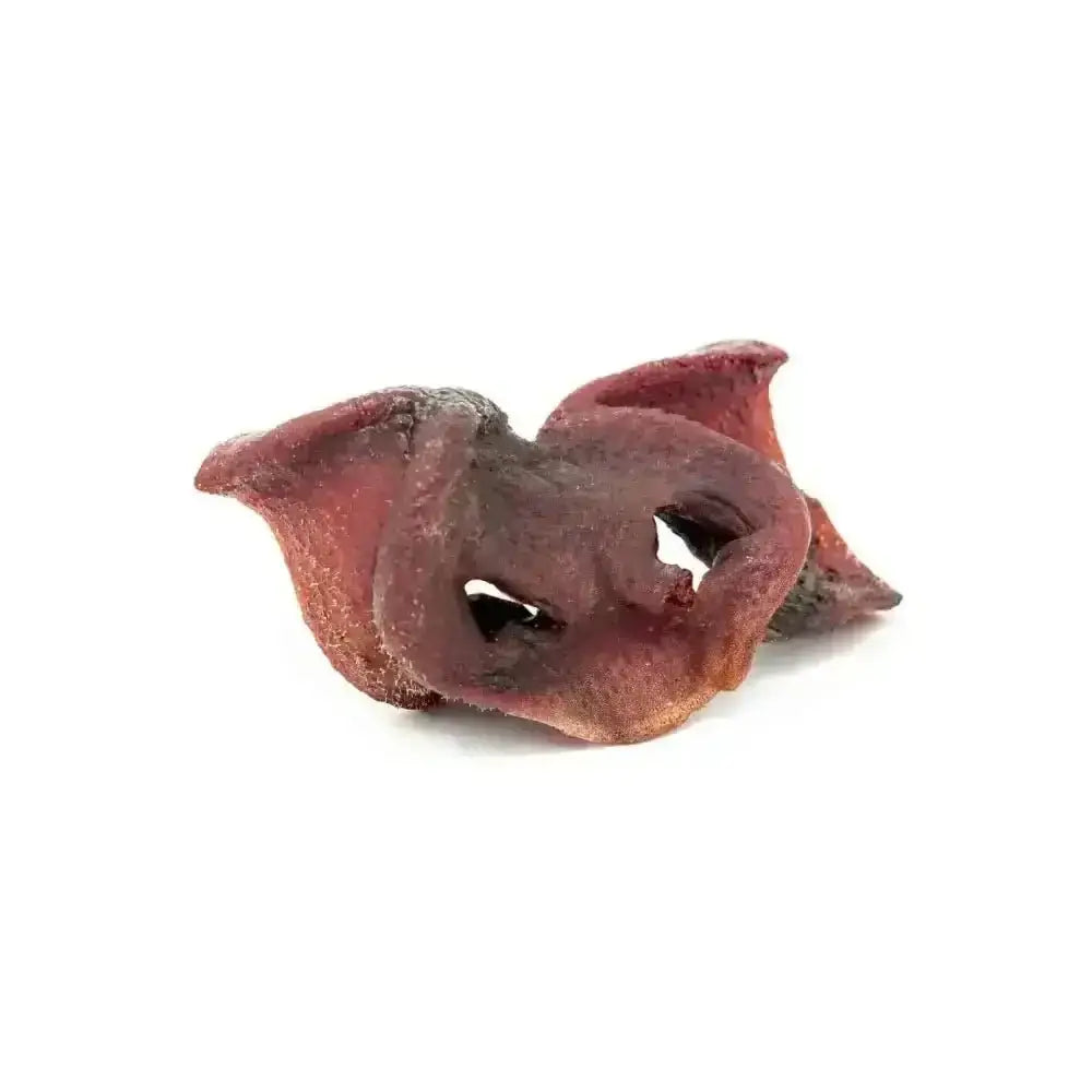 Deep red wrinkled dried plum slices on air-dried pork snouts for dogs