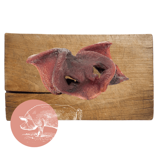 Natural pigs snout meat chew for dogs - A Natural Dog Chew Available At The Pets Larder Natural Pet Shop. 