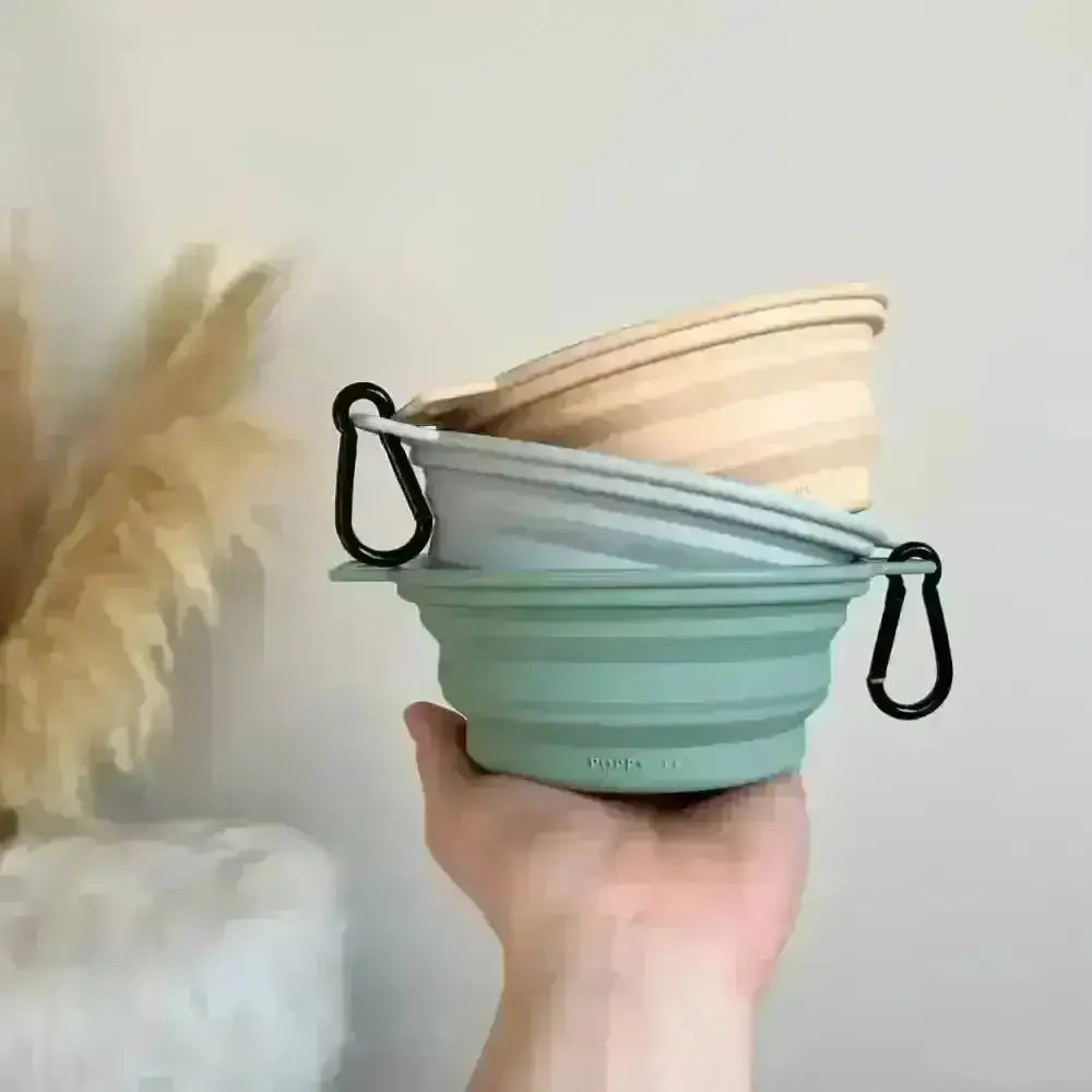 Pink Collapsible Dog Bowl - Bowls & Feeding | Natural Pet Shop