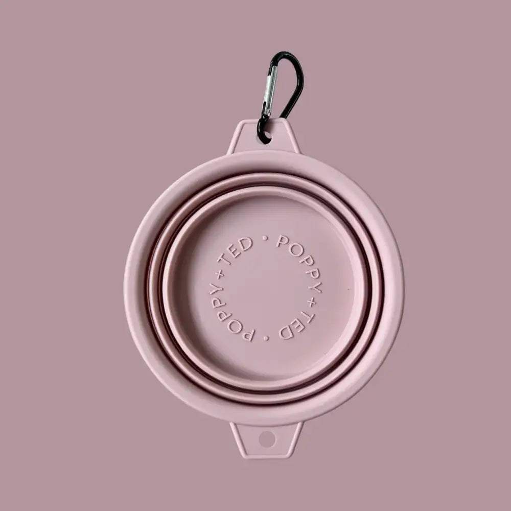 Pink Collapsible Dog Bowl - Bowls & Feeding | Natural Pet Shop