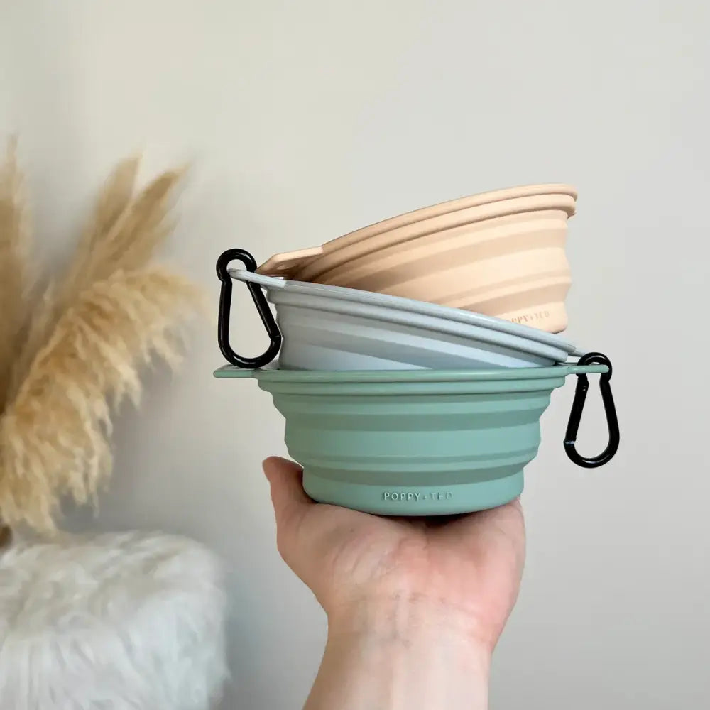 Pink Collapsible Dog Bowl - Bowls & Feeding | Natural Pet Shop