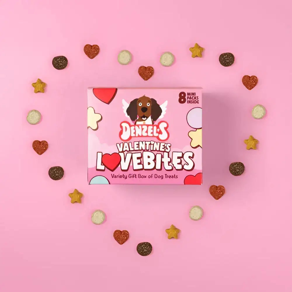 Pink rectangular box of denzels valentine’s lovebites dog treats featuring a cartoon angelic dog and heart-shaped stars.