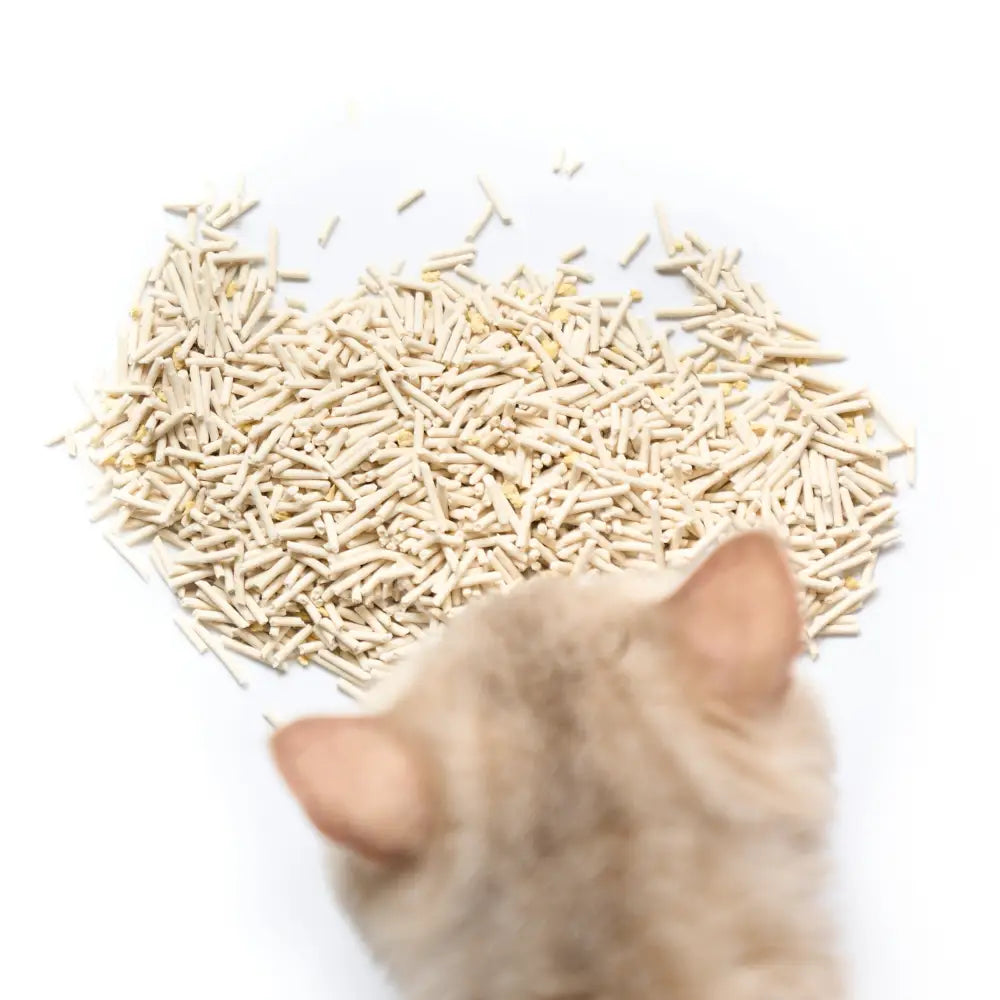Plant-based Tofu Cat Litter - Tofu Cat Litter