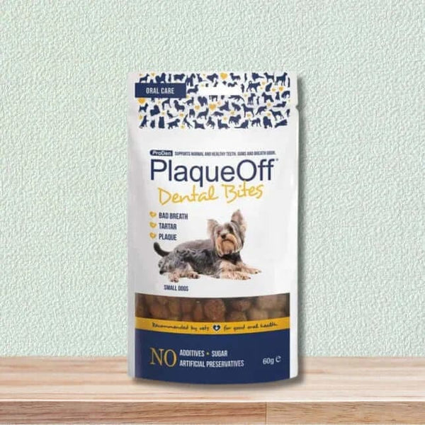 Plaque off dog treats best sale