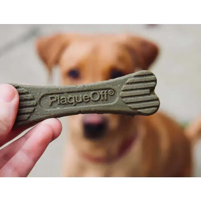 Plaque Off Dental Care Bones - Dog Supplements