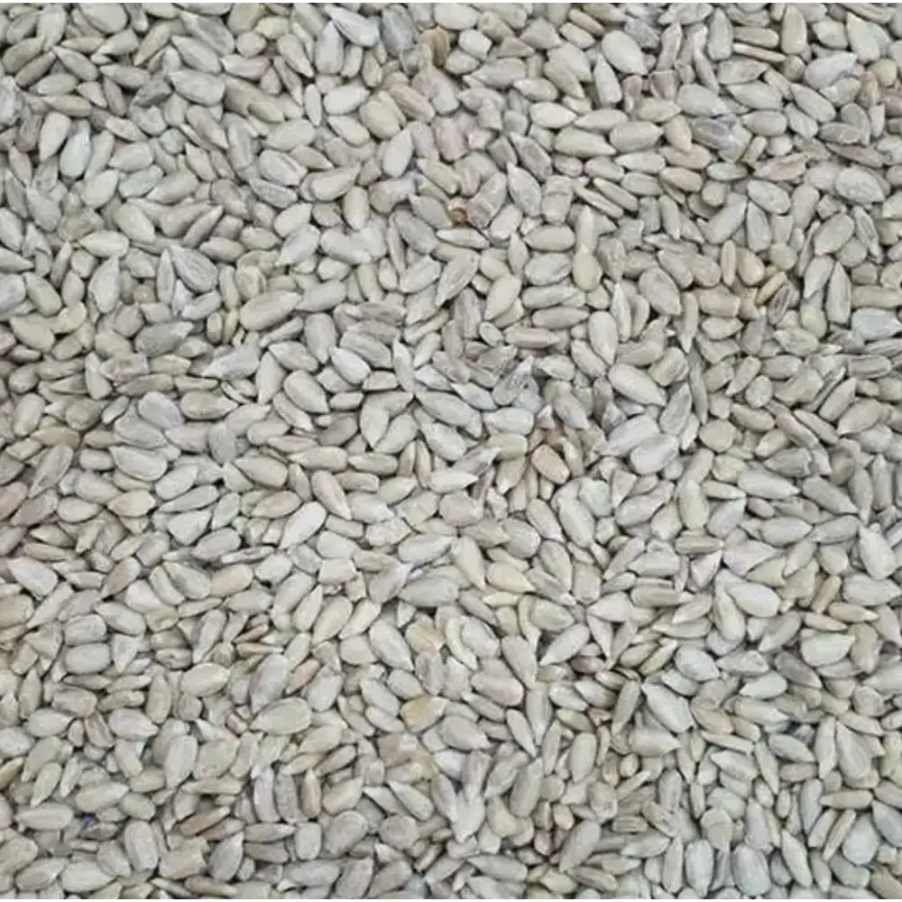 Plastic-Free Eco-Friendly Bird Food Monthly Subscription - Bird Food