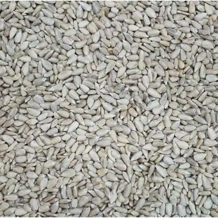 Plastic-Free Eco-Friendly Bird Food Monthly Subscription - Bird Food
