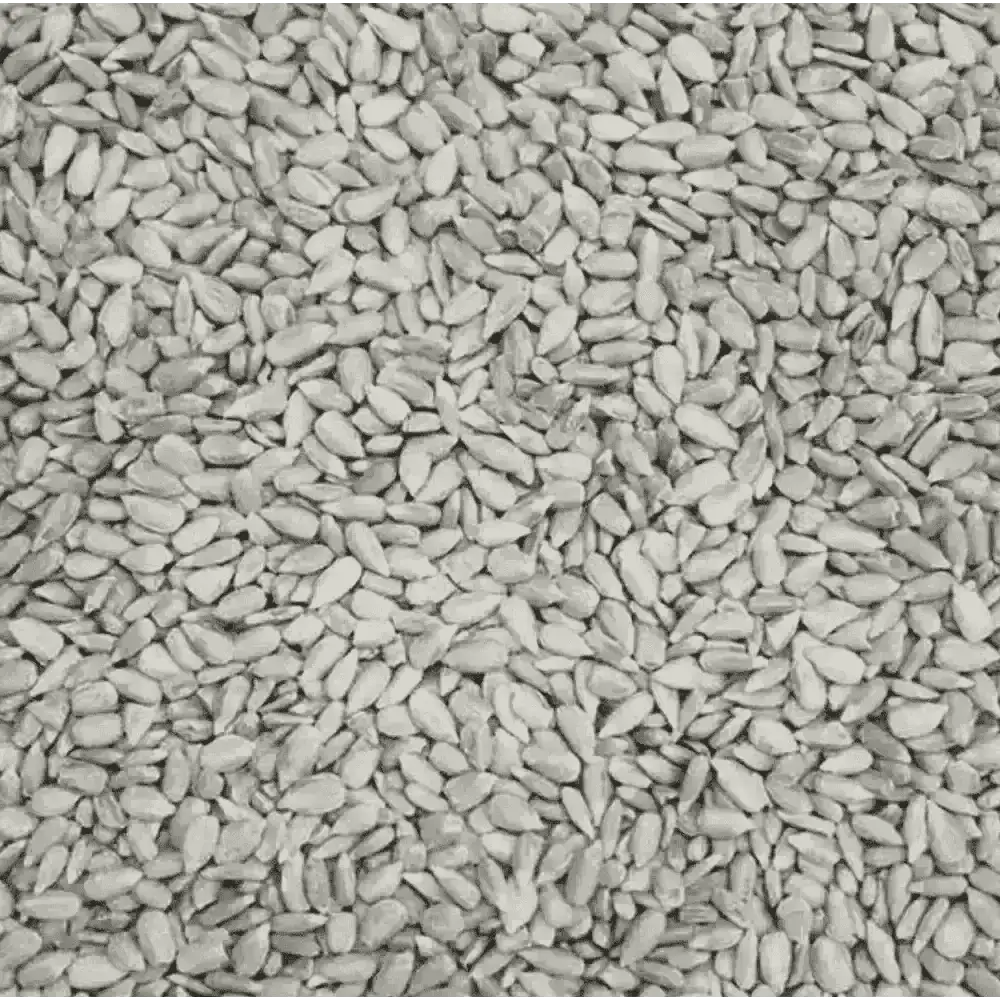 Eco-friendly bird food: white sesame seed bagged snack mix for wild birds
