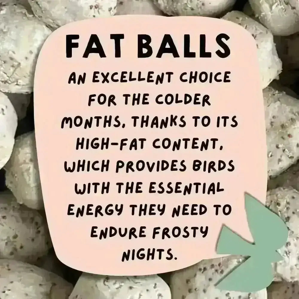 Eco-friendly bird food: nutritious fat balls for wild birds on pink background
