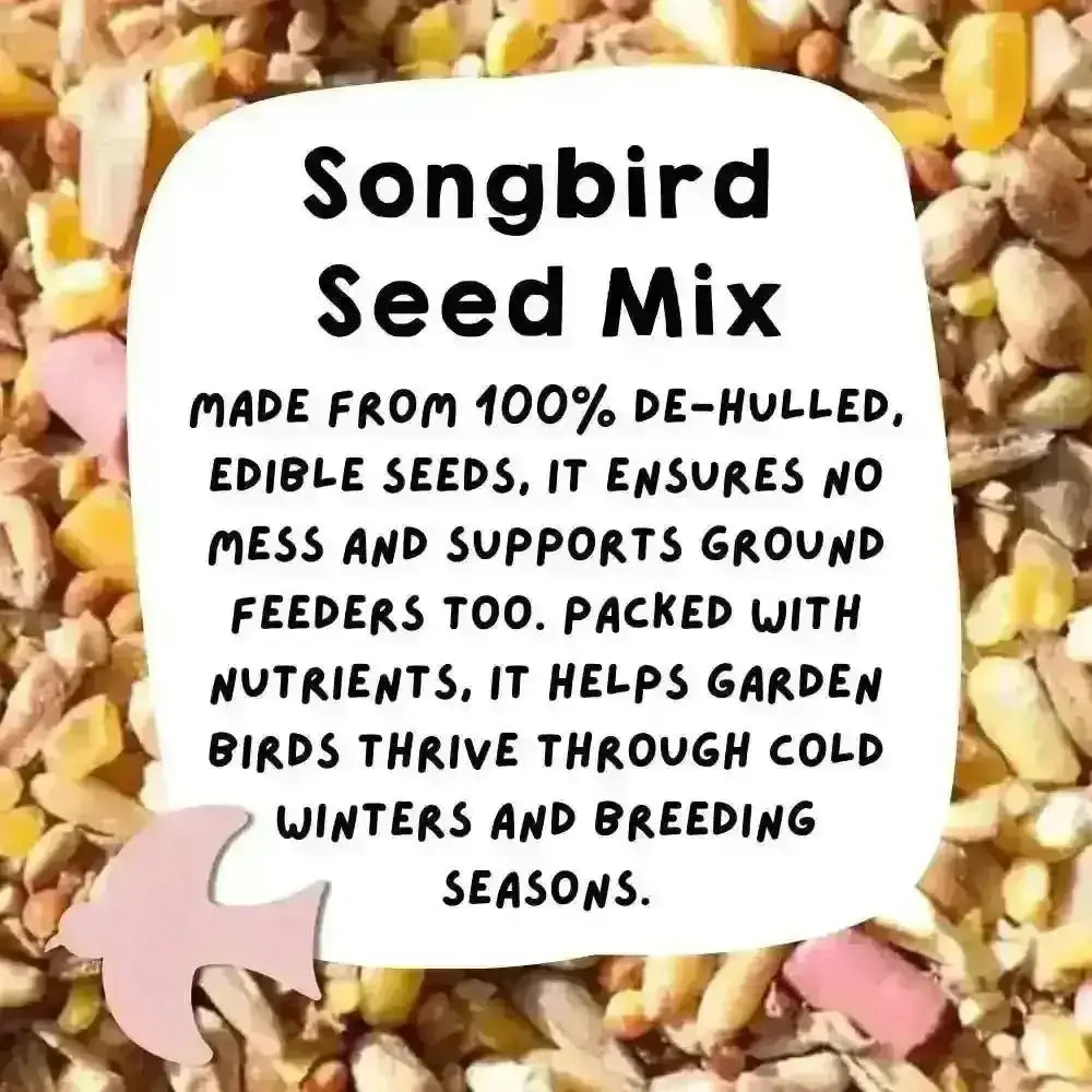 Eco-friendly bird food: 100% de-hulled seed mix for wild birds