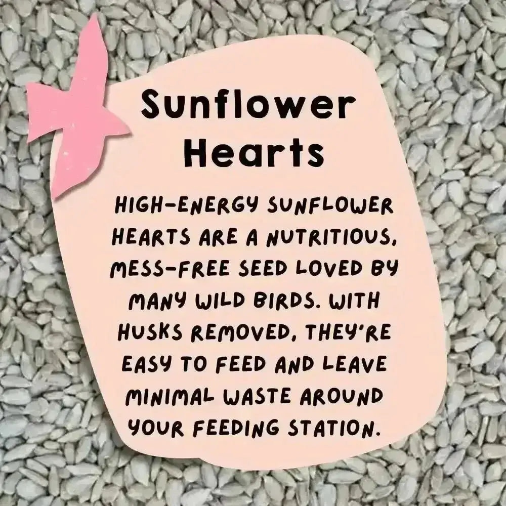 Eco-friendly bird food: Sunflower hearts bag with pink bird design
