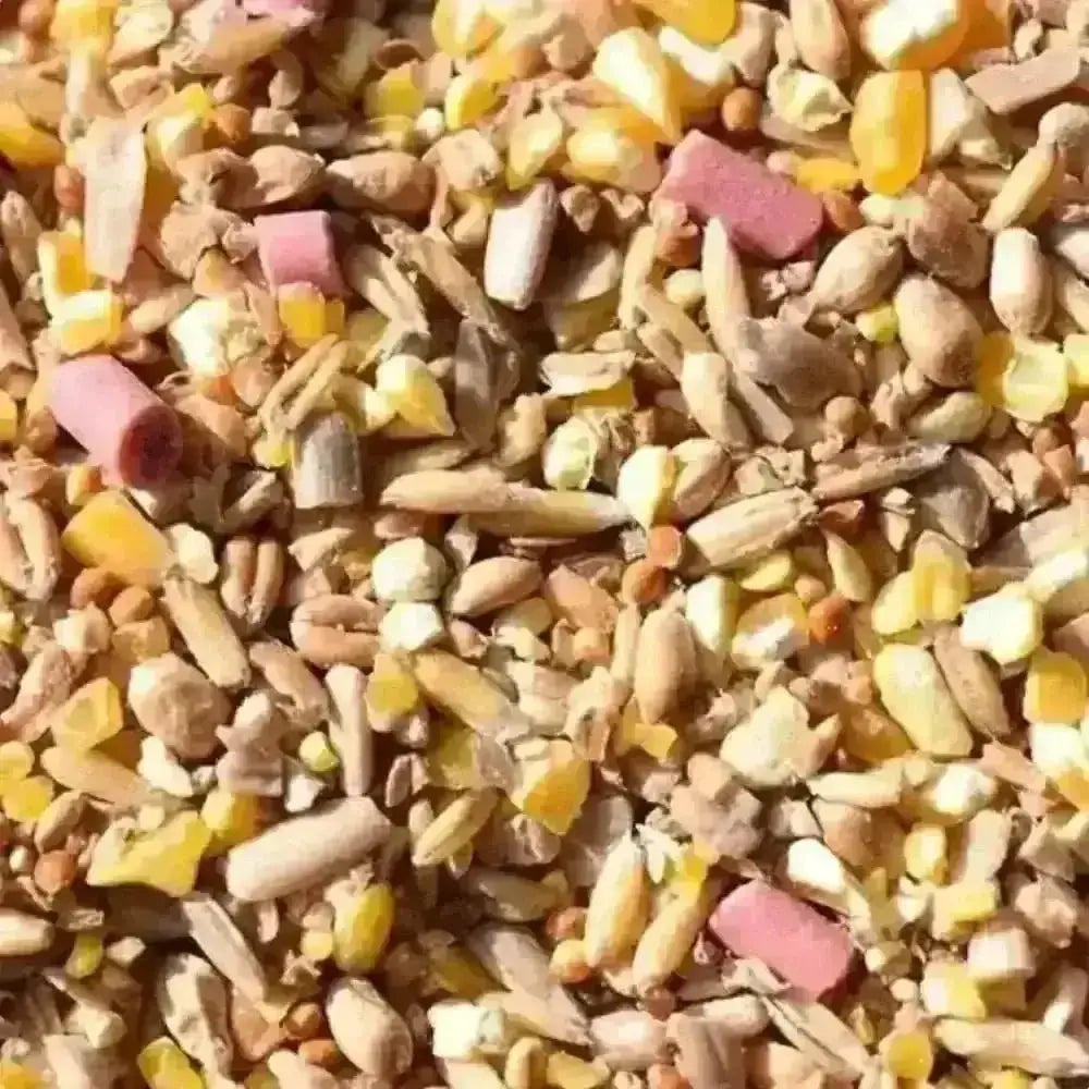 Eco-friendly bird food mix with colorful seeds for wild birds
