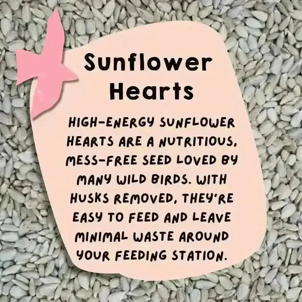 Eco-friendly bird food: Sunflower hearts bag with pink bird design