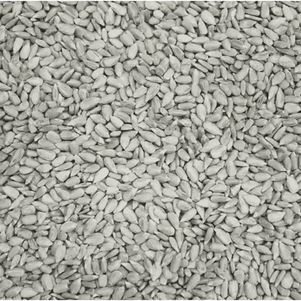 Eco-friendly bird food: white sesame seed bagged snack mix for wild birds