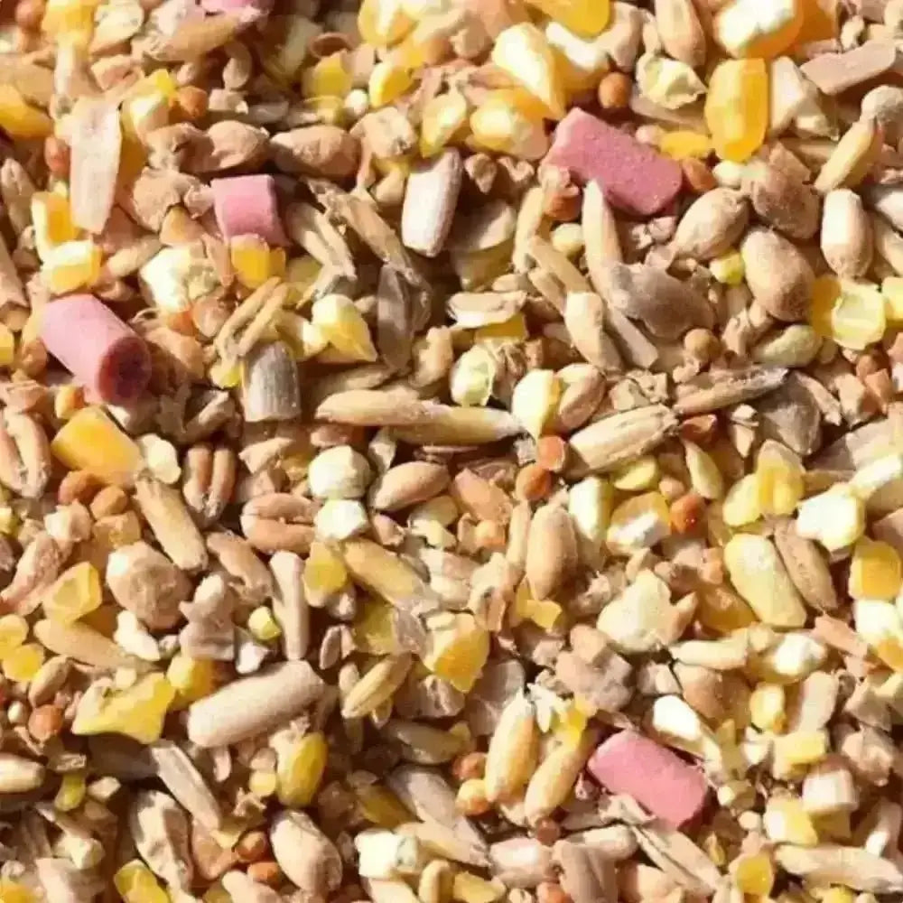 Eco-friendly bird food mix with colorful seeds for wild birds