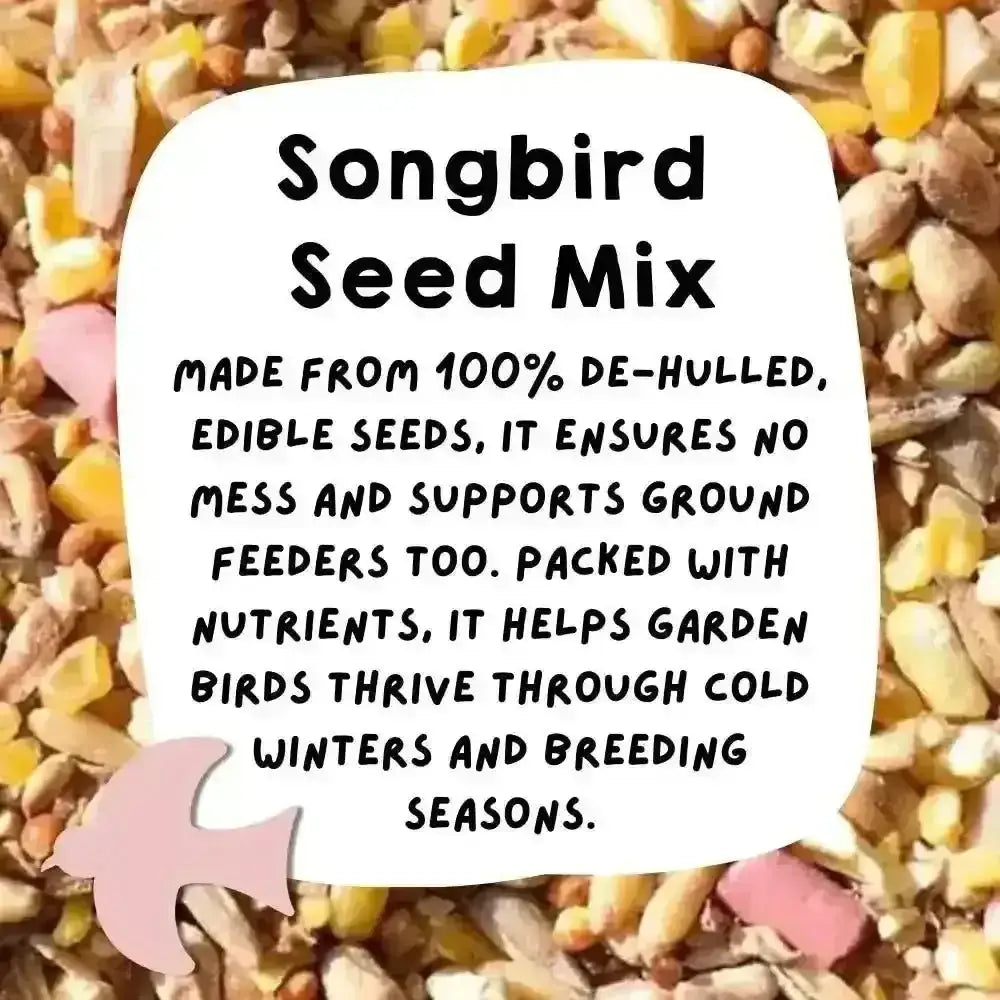 Eco-friendly bird food: 100% de-hulled seed mix for wild birds