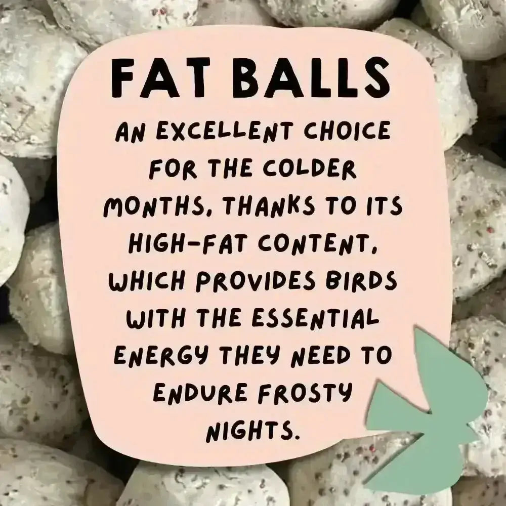 Eco-friendly bird food: nutritious fat balls for wild birds on pink background