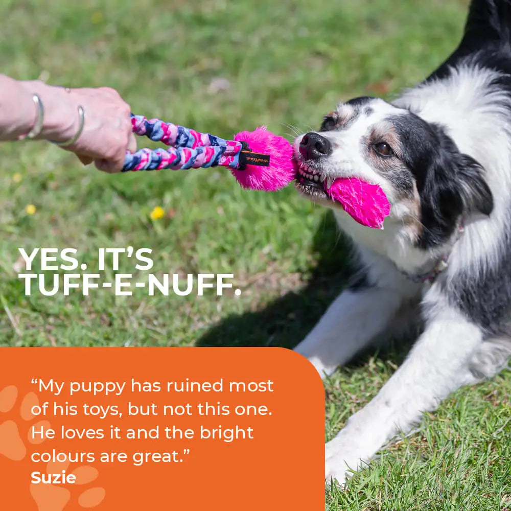 Bright pink fuzzy Pocket Fauxtastic Tug toy with blue purple rope