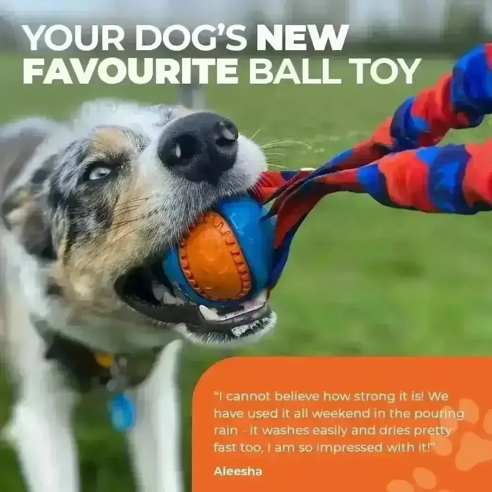 Pocket PowerBall Bungee Tug toy burns energy with braided rope handle