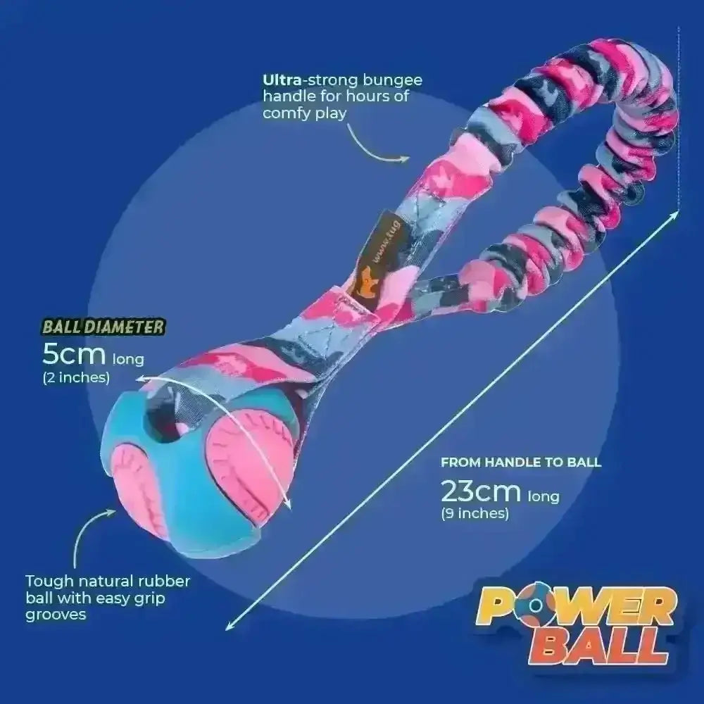 Vibrant pink blue camo bungee dog toy with rubber ball burns energy
