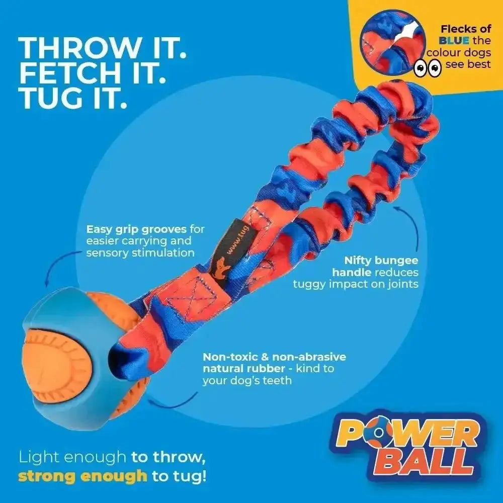 Vibrant orange and blue Pocket PowerBall Bungee Tug toy burns energy with rubber ball