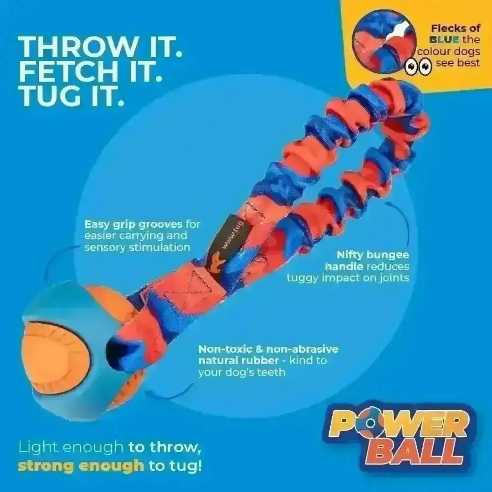 Vibrant orange and blue Pocket PowerBall Bungee Tug toy burns energy with rubber ball