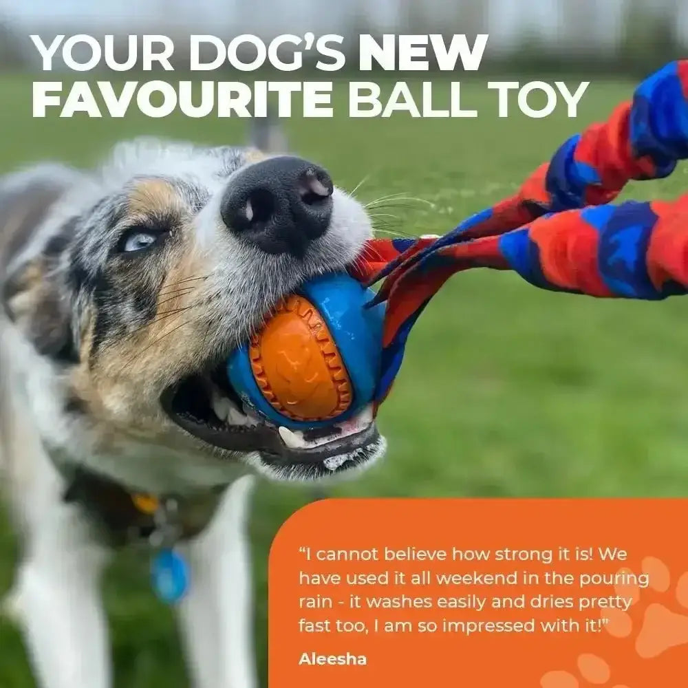 Pocket PowerBall Bungee Tug toy burns energy with braided rope handle