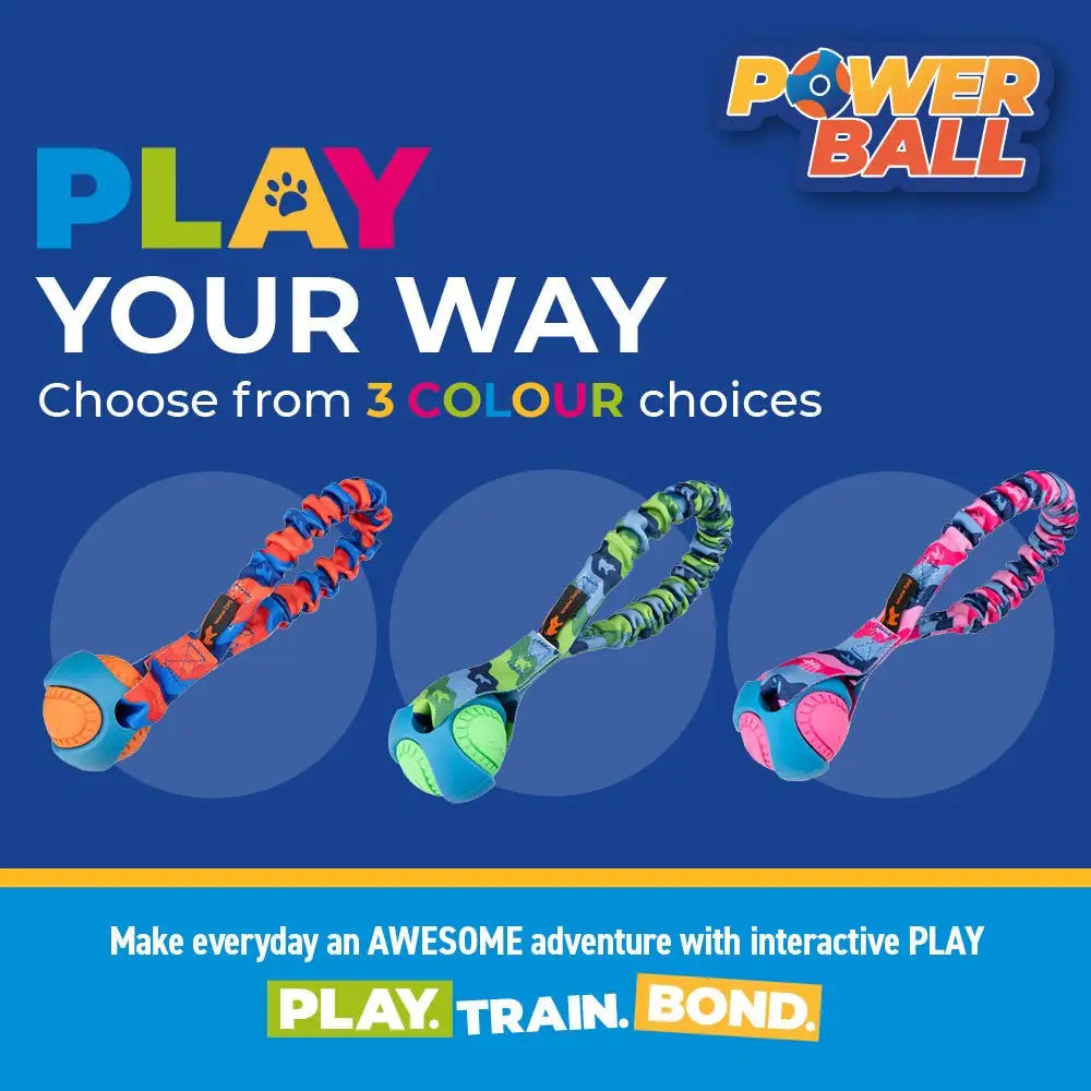 Pocket PowerBall Bungee Tug toy burns energy with braided rope handle