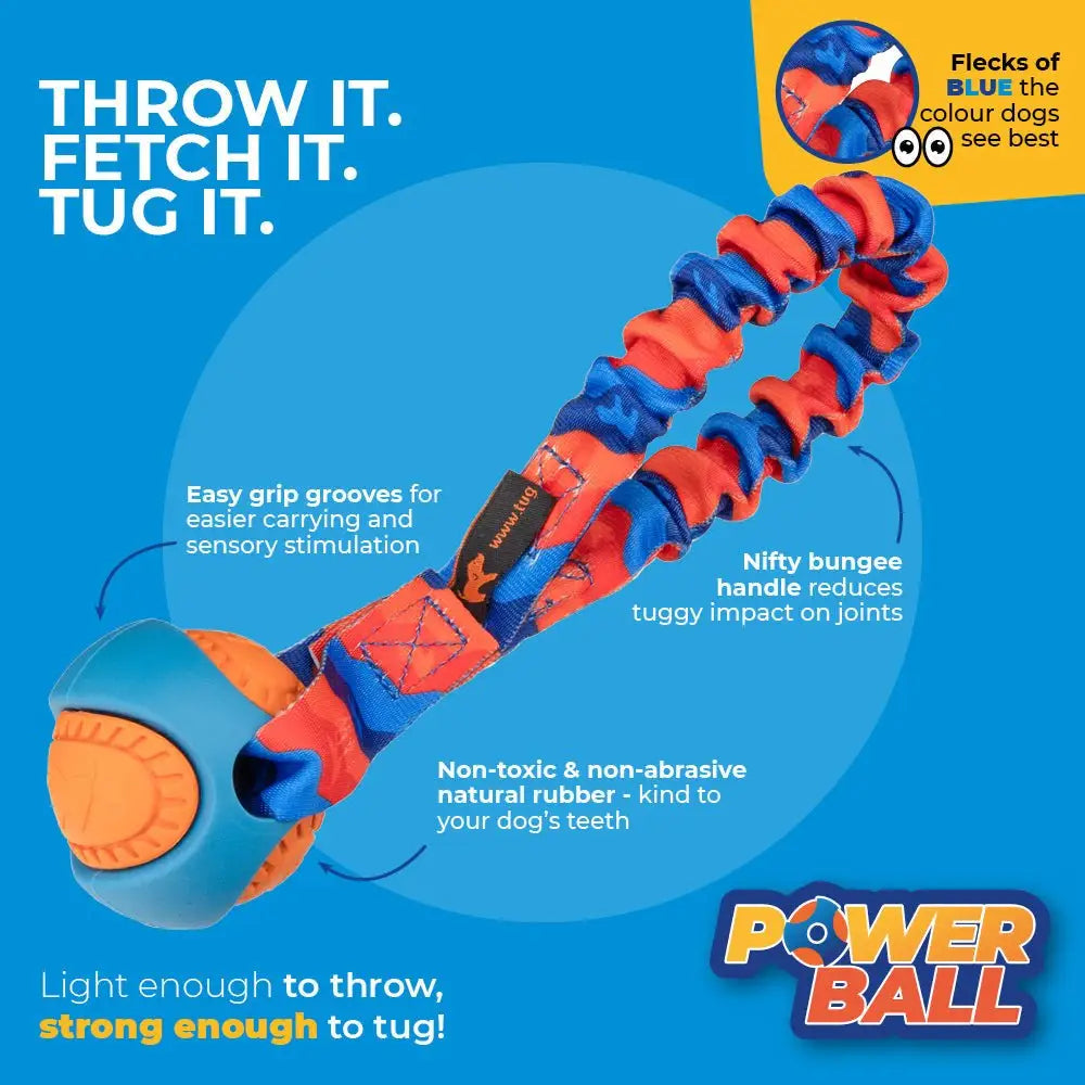 Vibrant orange and blue Pocket PowerBall Bungee Tug toy burns energy with rubber ball