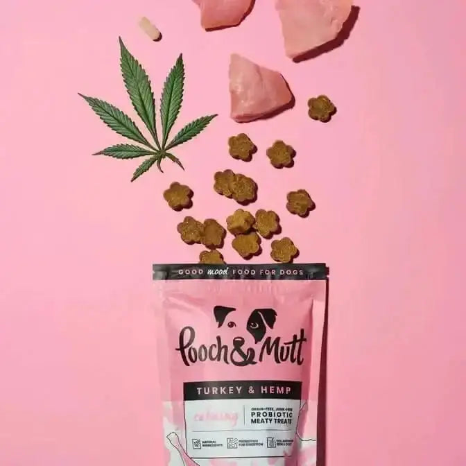 Pooch & Mutt Turkey & Hemp Calming Treats bag with green leaf design and dog graphic