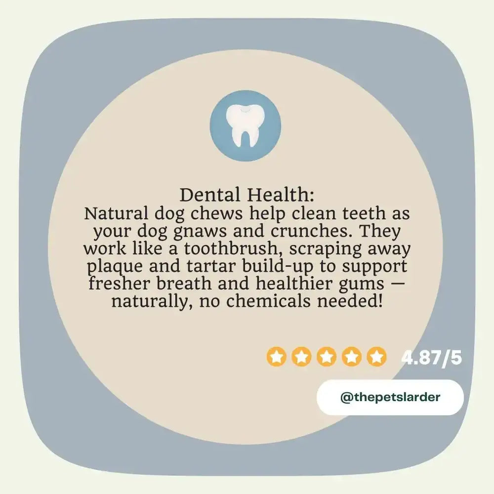 Natural Pork Crackling Stick for Dogs with dental care, blue tooth icon, star rating